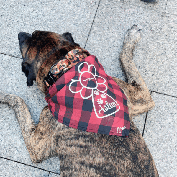 Cachirulo Floral Virgen del Pilar mascotas