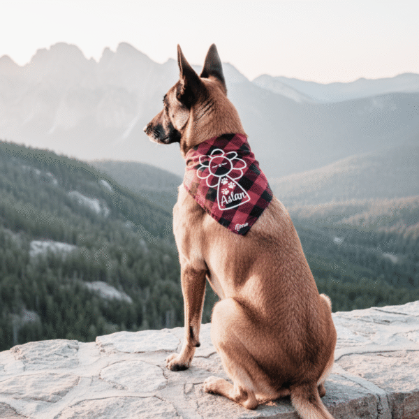 Cachirulo Floral Virgen del Pilar mascotas